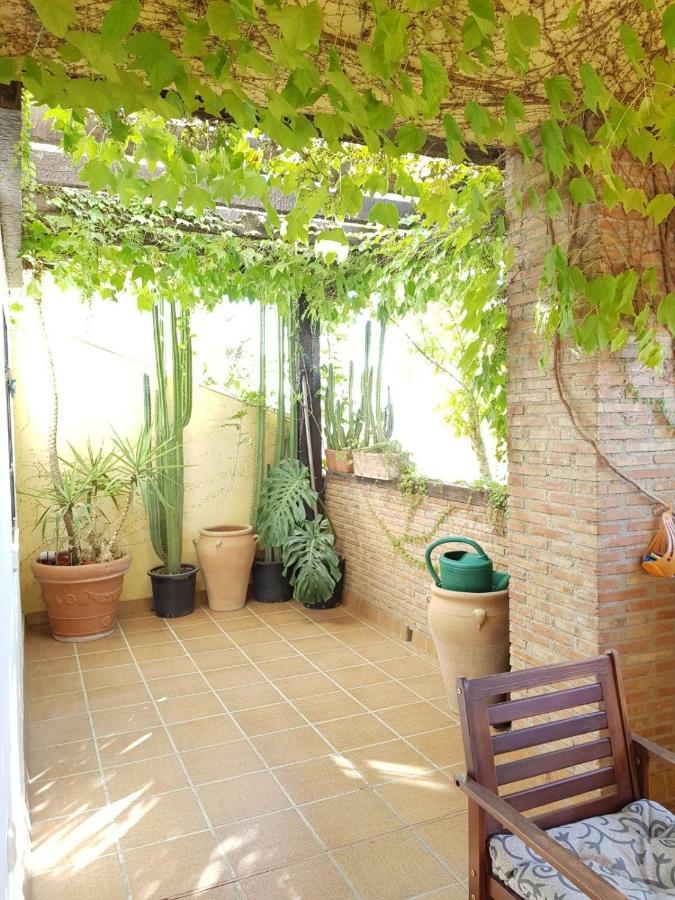 Piso En El Albaicin Alto, Junto Al Mirador De San Miguel Alto. Granada.公寓 外观 照片